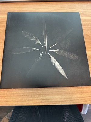Caspian Dust and Disquiet (White Vinyl LP, Triple Crown, Rock, 2010s)