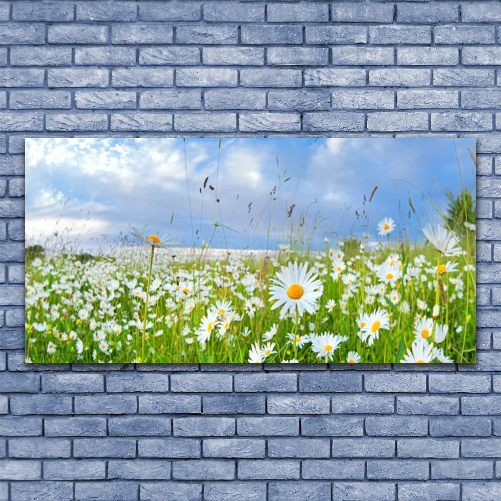 Tableau plexiglas nature prairie fleurie de marguerites géantes 140x70 cm