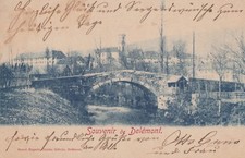 AK Souvenir de Delémont1901