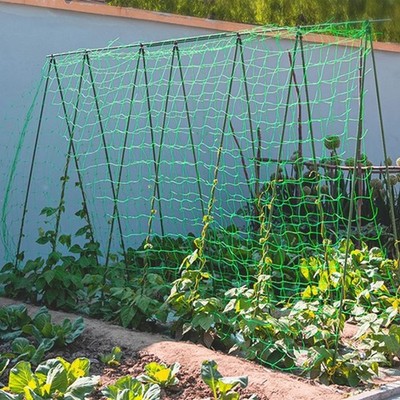 1.8x5m Tomato Cucumber Climbing Garden Net (Foreign Shipping)