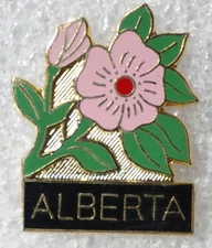 Alberta Wild Rose Pin – Pink Flowers Black Gold Souvenir Provincial Pride Badge