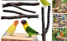Bird Toys Parakeet Perch Budgie Perch Wood Stand Fork Toys Multi-Branch Perch