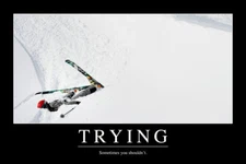 Trying Sometimes You Shouldnt Funny Demotivational Poster 12x18