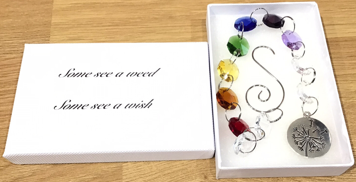 Pusteblume Wünsche Sonnenfänger Some see a weed Mama Freund Geburtstag Weihnachtsgeschenk