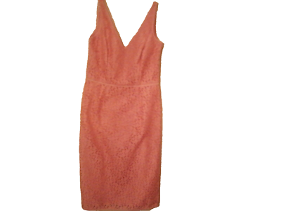 NWT Ann Taylor Rose Pink Lace Dress in Size 0 with Matching Pink Cotton Lining | eBay NWT Ann Taylor Rose Pink Lace Dress in Size 0 with Matching Pink Cotton Lining | eBay