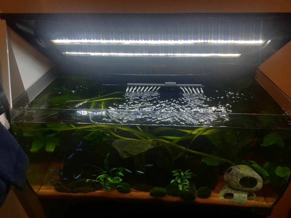 Fluval u4 cheap spray bar