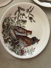 Johnson Brothers Ceramic Dinnerware Plates for sale | eBay