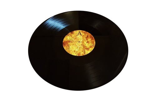 Scatterbox “Ritual” LP Punk Hardcore FFO Black Flag Nofx DRI Minor Threat GBH DI - Picture 3 of 3