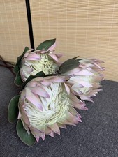 28” Large Pink King Protea Soft Touch Artificial Luxury Faux Flowers Single Stem