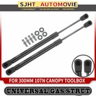 <!--F#f_0-->2x Gas Struts for Flexiglass Canopy SIDE match C16-09903 24lbs 300mm 107N<!--F/-->
