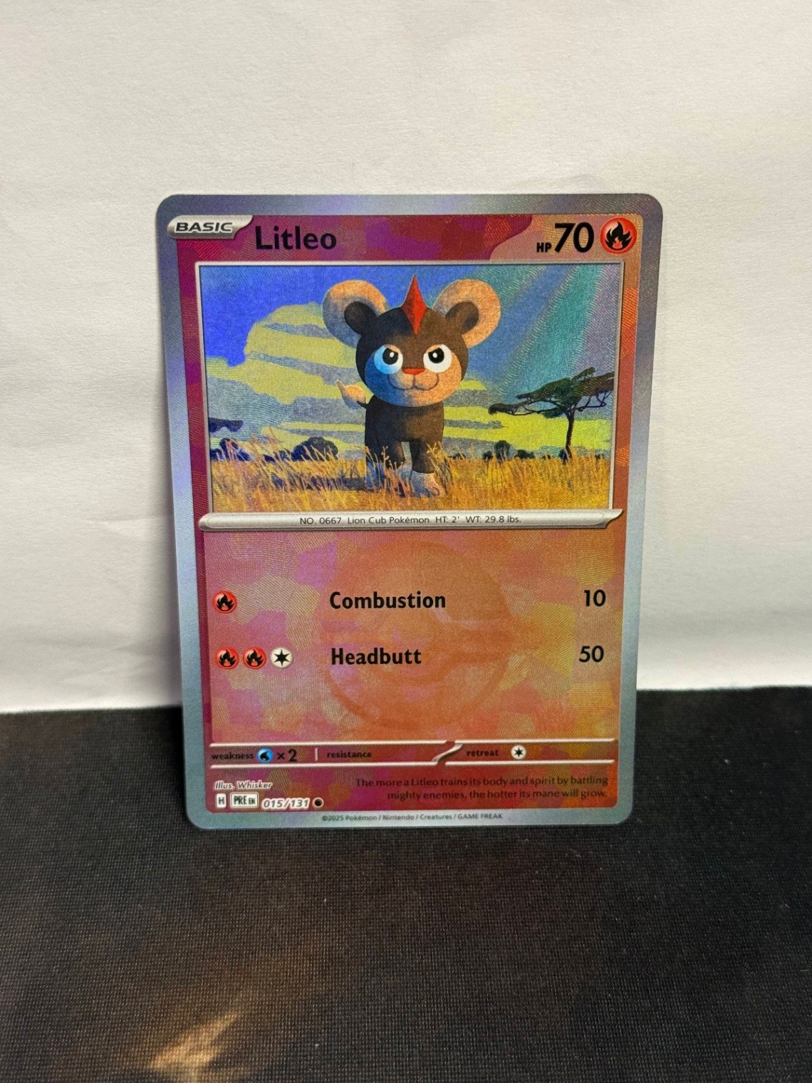 Litleo (Poke Ball Pattern) Common SV: Prismatic Evolutions 015/131 NM