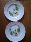 Crooksville Delmar Begonia La Grande 4 Each Saucers &  2 Dinner Plates 1940s 50s — photo 3