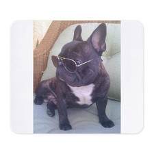 CafePress Authority Non-slip Rubber Mousepad, Gaming Mouse Pad 769117973 