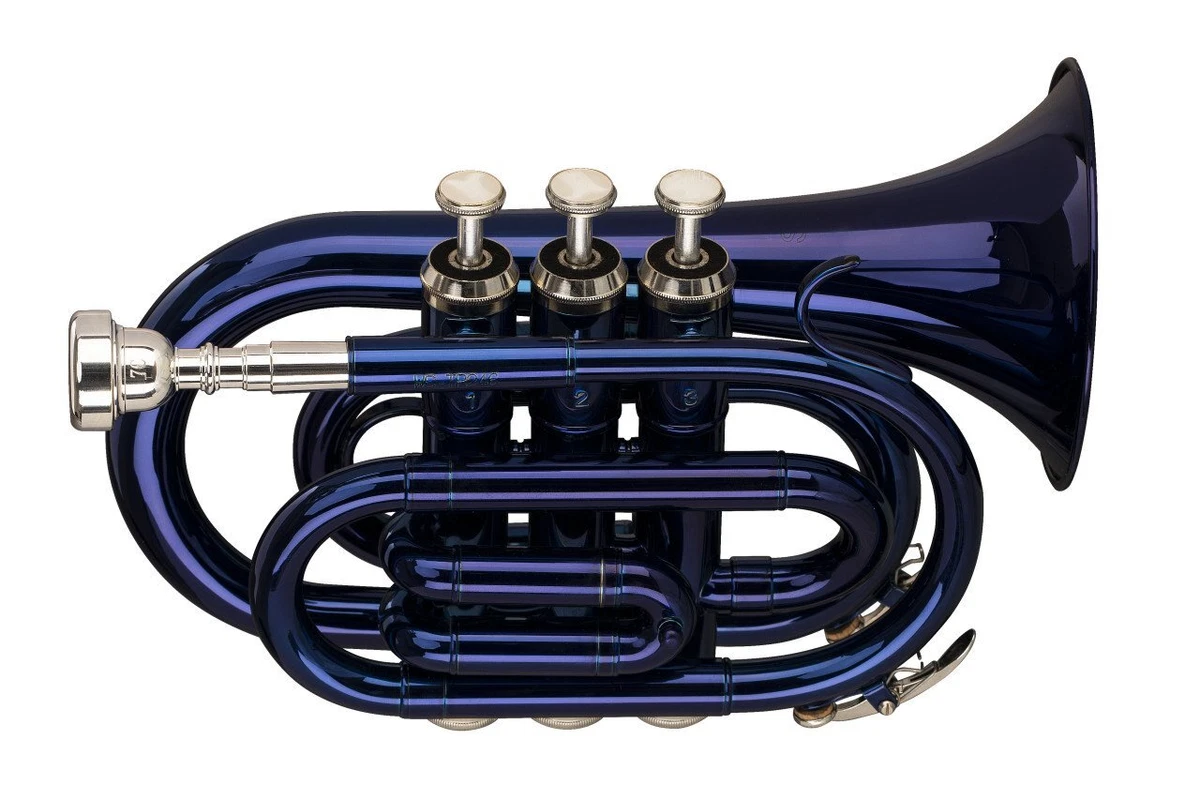 Pocket sales trumpet ebay