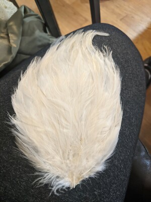 HACKLE FEATHER PAD - Eggshell  Pads; Headband/Bridal/Craft/Halloween Deadstock