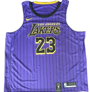 purple lakers jersey lebron