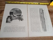 2 Antique Illustrations "Atiutaki Reef" "Motion of the Sea" Nautical Block Print