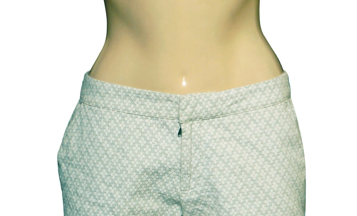 Joie Shorts S 6 Women's Casual Low Rise Textured Flat Front Hot