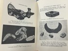 Prehistoric Relics by Warren K. Moorehead, Bannerstone Copper Axe Pipe Clovis
