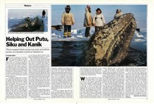 1988 Time Helping Out Putu, Siku & Kanik Humpback Whale Vintage Print Ad/Article