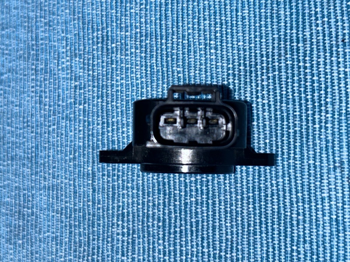 スイミー s-l400.jpg