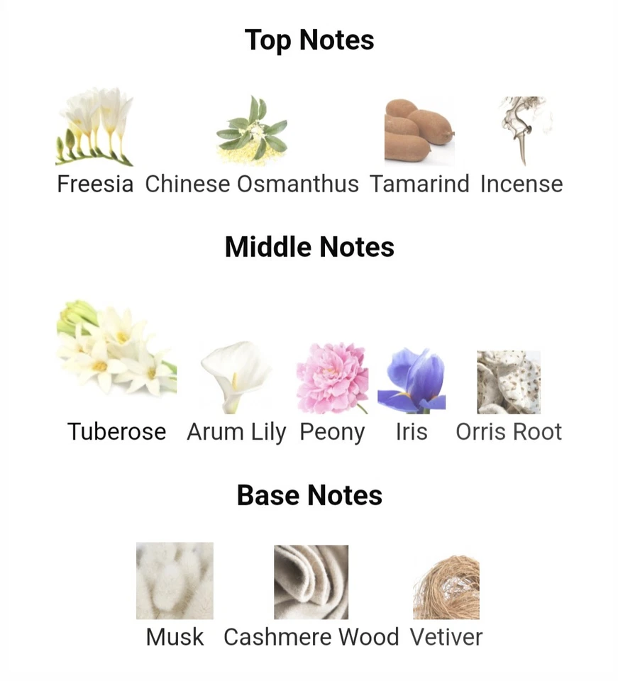 Michael Kors Original Perfume Clásico Para Mujer Eau De Parfum EDP 3.4o.z-100 ml Foto 2 de 4