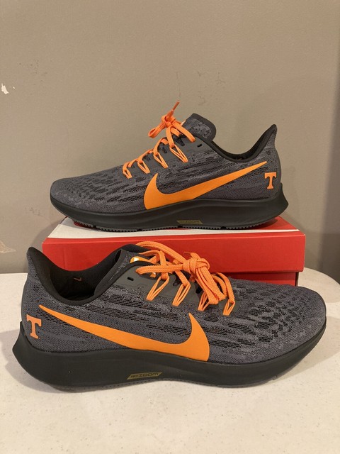 nike pegasus 36 tennessee