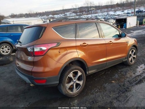 Passenger Right Strut Front Fits 14-19 ESCAPE 3154749