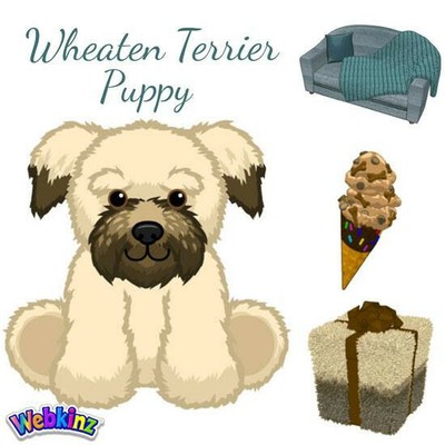 webkinz terrier