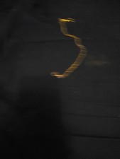  on The Hot Collector