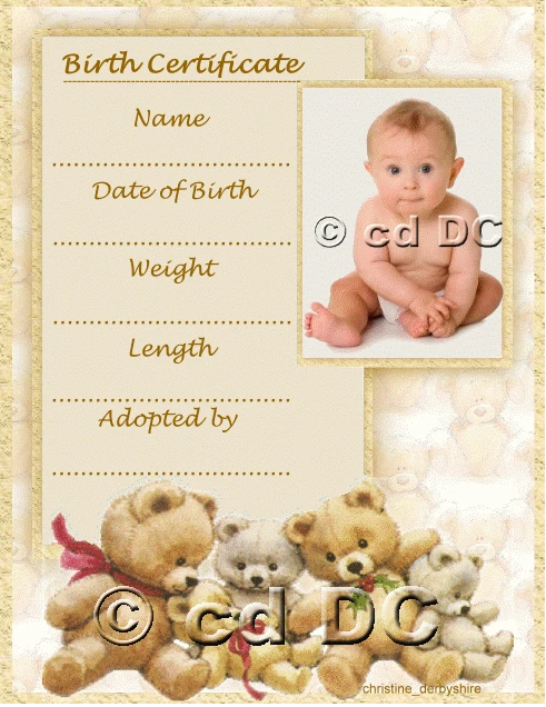 Baby doll on sale fake birth