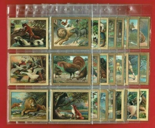 In Plastic Sleeves Film/Film Stars Collectable Cigarette Cards