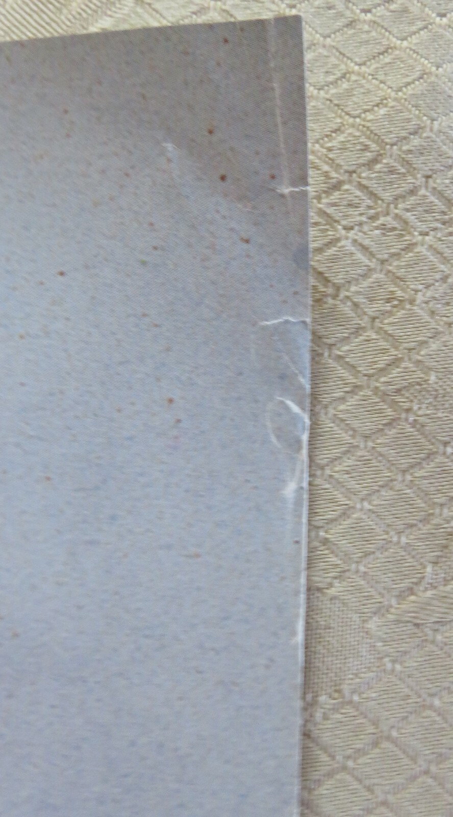 Foto 2 di 2