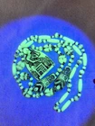 Neiger Brothers Egyptian uranium Czech glass necklace scarab mummy pharaoh