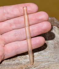 Ancient African Neolithic Hand Carved Stone Piercing Plug / Hair Pin Decoration