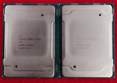 Buy Intel Xeon Gold 5115 Tray Processor Online At Low Prices In India | Intel Reviews &amp; Ratings