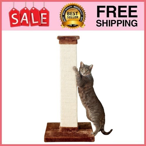 cool rottweiler collars