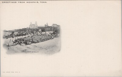 Postcard Tennessee TN Memphis River Levee Foot of Bluff Undivided Back c. 1905