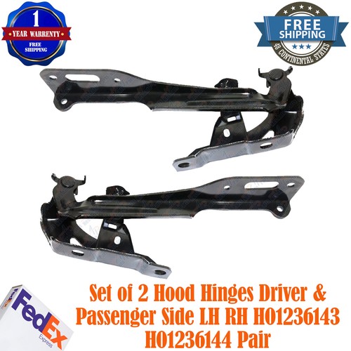 Front Hood Hinge Set For 2015-2019 Hyundai Sonata - Driver & Passenger Side