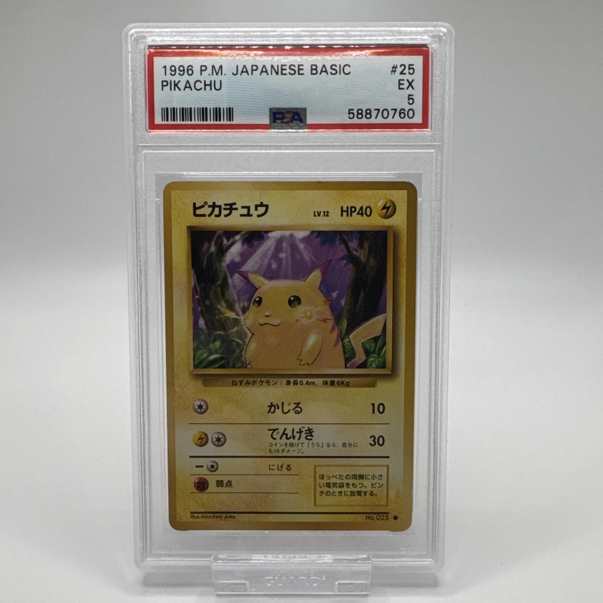 Pikachu Pokémon TCG Base Set Japanese Individual Collectible Card