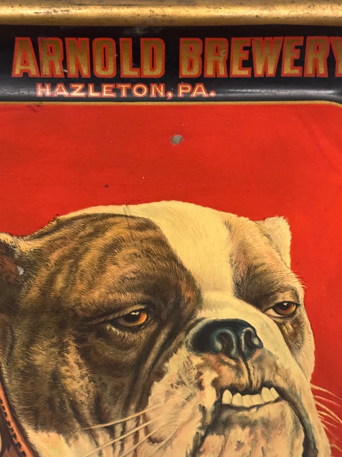 RARE Pre Prohibition John Arnold Lager Beer&Porter Hazleton PA Bulldog