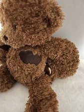 Gund Comfort Cub Brown Teddy Bear Hidden Heart lock Picture Memories Inside