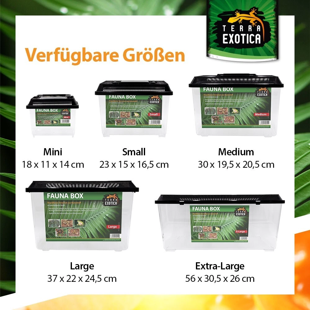 Bild 6 von 6