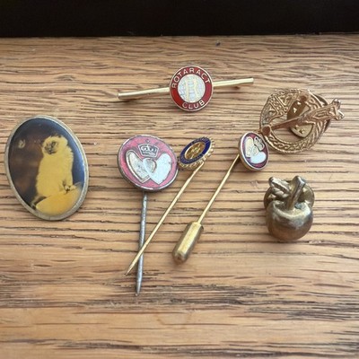 Konvolut Vintage Anstecknadeln Broschen .Apfel , Katze ,Drehschläger usw # 15