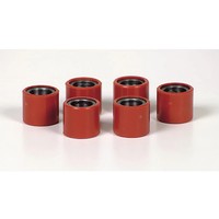 Piaggio Rollenkit 19X17 12.5Gr (FüR: Gilera Runner 180 Vxr M24 - 4 Takt 01-03 )
