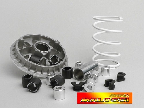 Variator MALOSSI 2000 Gilera Nexus 500 Ie 4T LC (6 Rollen) 5111808 | eBay