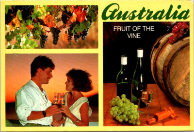 120) Australia Wine Industry Grapes Vineyard Wine Barel