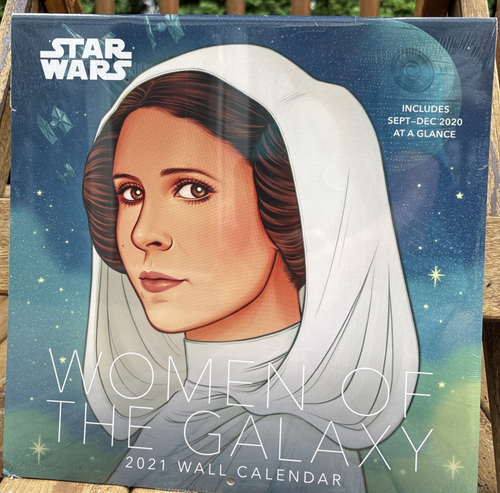 star-wars-women-of-the-galaxy-2021-calendar-collectible-ebay
