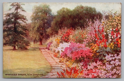 #ad Postcard Herbaceous Border Kew Gardens London England Unposted $7.95