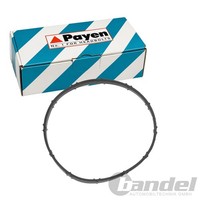 Payen AnsaugkrÜMmerdichtung Passend FüR BMW 1 3 CitroËN C4 C5 DS3 DS4 DS5 Grand